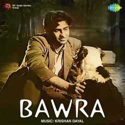 Zulmi Naina Balam Ke Maar Gaye