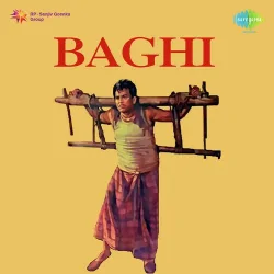 Hamare Baad Ab Mehfil Mein Baharen Hum Ko
