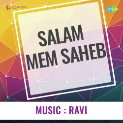 Hum Bhi Akele Tum Bhi Akele