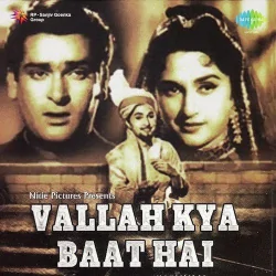 Teri Meri Ek Zindagi