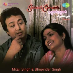 Aasman Se Utara Gaya