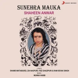 Tere Shahar Se